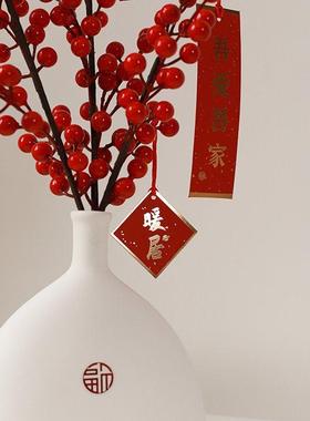 乔迁新居发财果新年装饰品客厅电视柜红果摆件新婚房间桌面布置