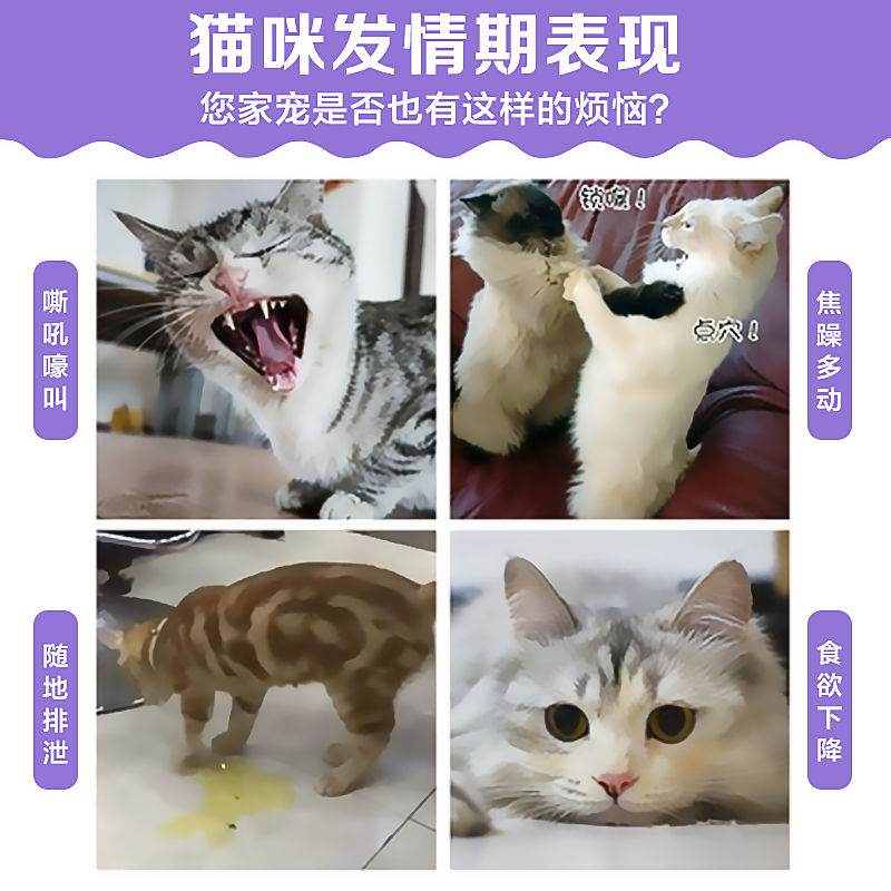 宠肤恩猫咪禁情片母猫安抑制发情防止乱叫乱尿缓解厌食宠物抑情片 - 图0