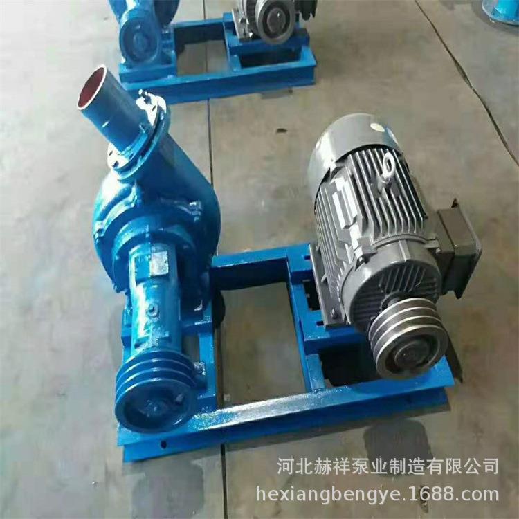 热销NB小型卧式抽沙泵池塘海水抽铁矿砂抽送泥浆河道清理疏浚 - 图2