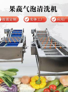 豆芽气泡清洗机高压喷淋蓝莓清洗设备蔬菜气泡翻浪清洗机
