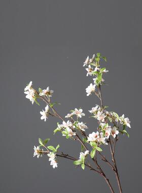 采购产影品长桃花花枝，人造CCC花，绢，客厅饰，桌子装，插花，