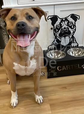 爆款Personalizeddogfoodbowlholder狗粮碗架金属个性化