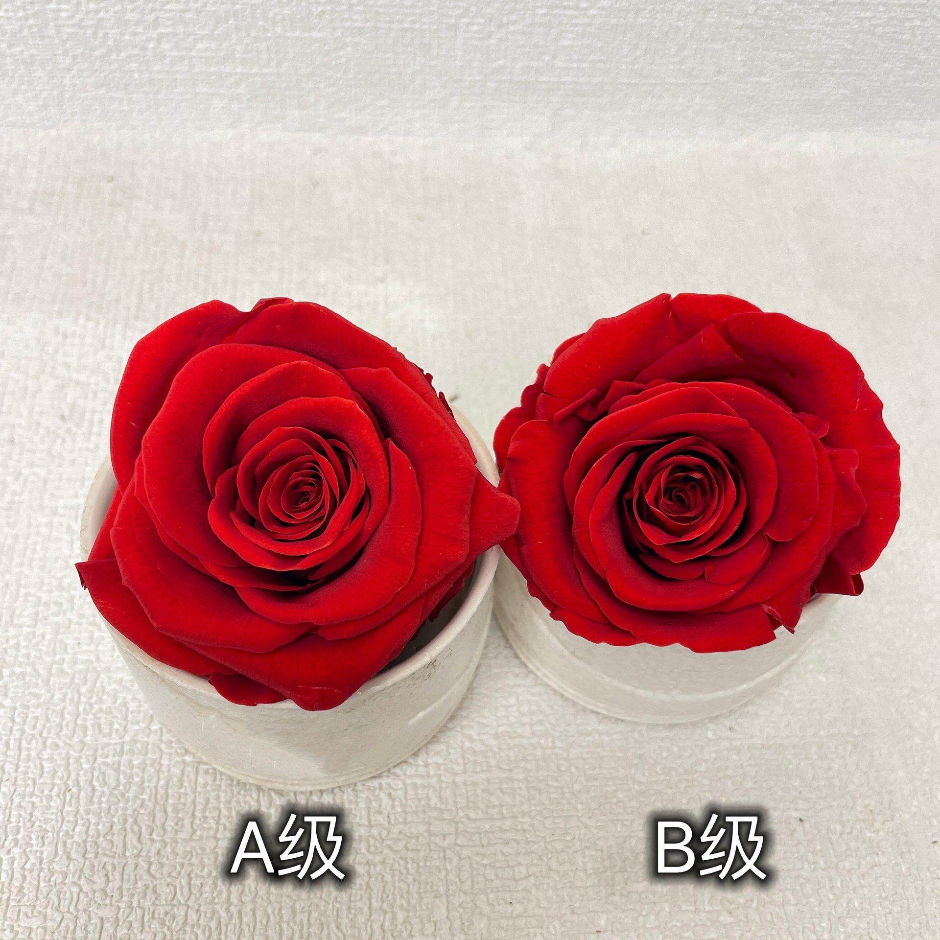 A级保鲜花出口大玫瑰5-6cm永生花花头抱抱桶礼盒素材花束,淘宝优惠券,粉丝福利购,淘宝优惠卷