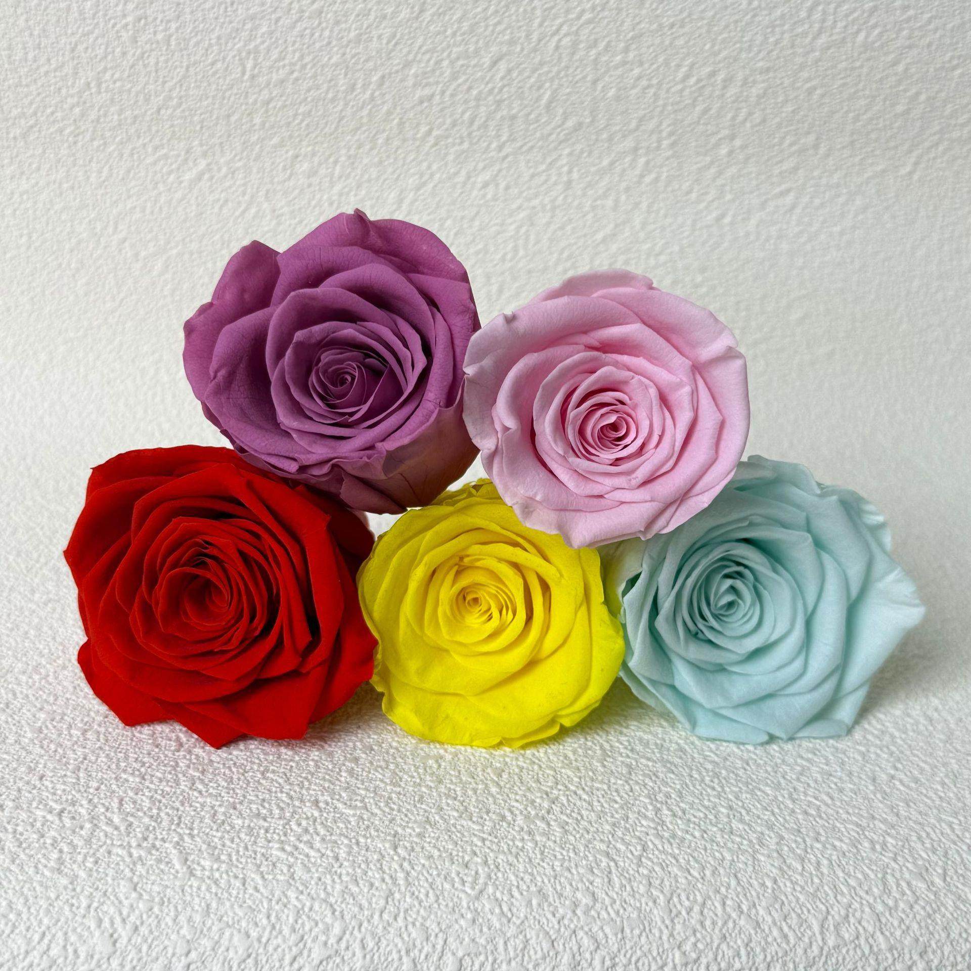 A级保鲜花出口大玫瑰5-6cm永生花花头抱抱桶礼盒素材花束,淘宝优惠券,粉丝福利购,淘宝优惠卷