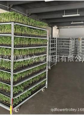 直销花卉蔬菜穴盘工具育苗台车，热镀锌蔬菜催芽多层育苗车