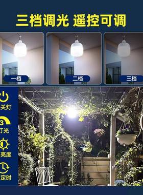 太阳能庭院灯户外灯家用路灯超亮照明灯防水充电一拖二分体感应灯