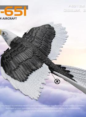 飞熊FX651遥控老鹰飞机固定翼泡沫老鹰机战斗机电动航模儿童玩具