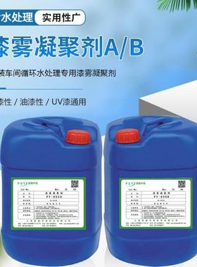 漆雾凝聚剂AB剂喷漆污水处理水帘柜喷淋塔油性漆水性漆废水除漆