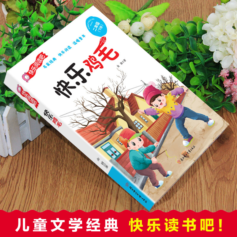 快乐鸡毛 金波著 北方妇女儿童出版社  快乐读书吧 快乐鸡毛一年级二