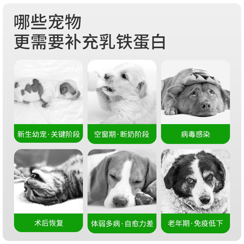 【交个朋友年货节】sincepet宠物乳铁蛋白猫狗通用多种氨基酸,淘宝优惠券,粉丝福利购,淘宝优惠卷