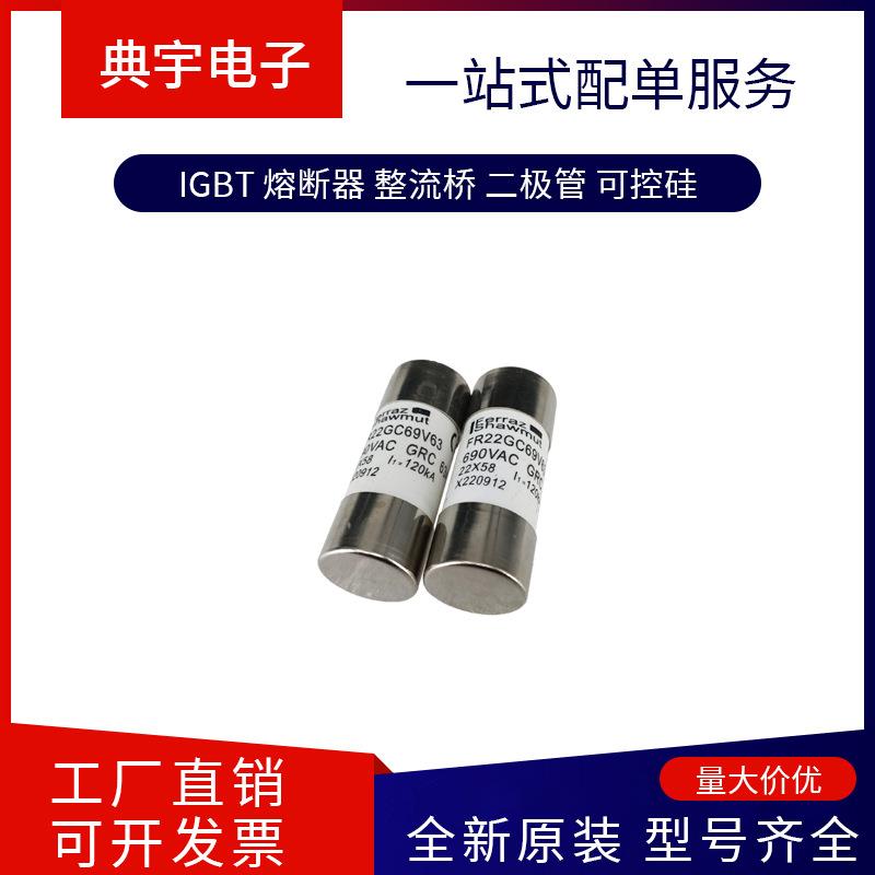法国熔断器SC30AR69V250TIMQ1046997SC30AR69V315TIMR1046998 - 图0