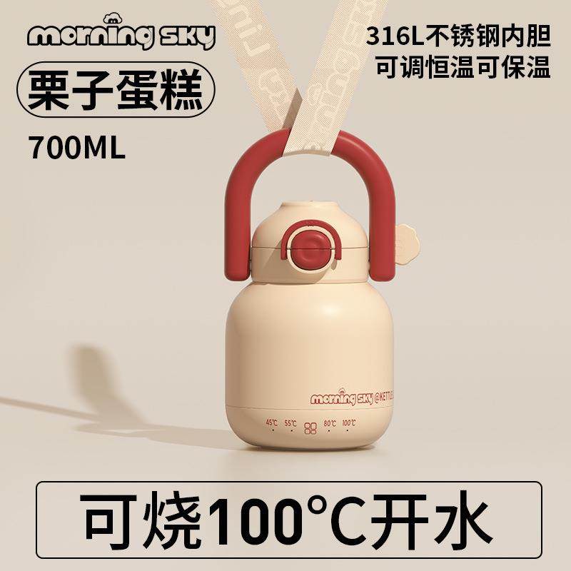 不锈钢插电加热保温恒温杯便携式外出调奶电热婴儿宝宝烧开水杯,淘宝优惠券,粉丝福利购,淘宝优惠卷