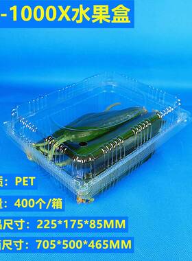 南通小番茄包装工厂现货一次性500M一斤装透明水果包装盒超市