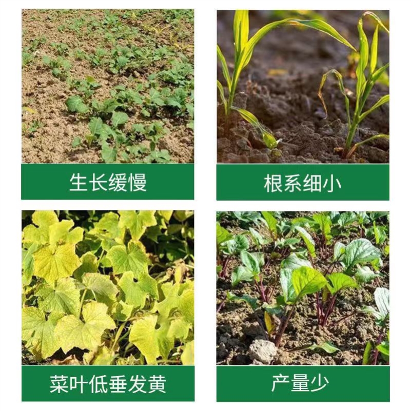 蔬菜专用肥家用白菜香菜韭菜黄瓜西红柿颗粒复合肥农用种菜缓释肥 - 图1