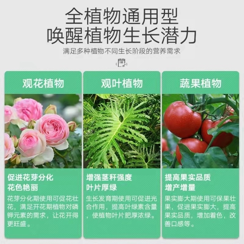氮磷钾复合肥通用型蔬菜农用肥料种菜盆栽花卉绿植养花果树化肥 - 图2