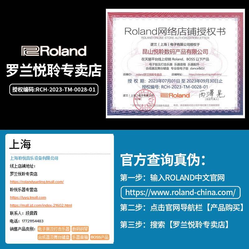 ROLAND罗兰电吹管AE20W AE30中老年人初学者专业萨克斯乐器葫芦丝 - 图1