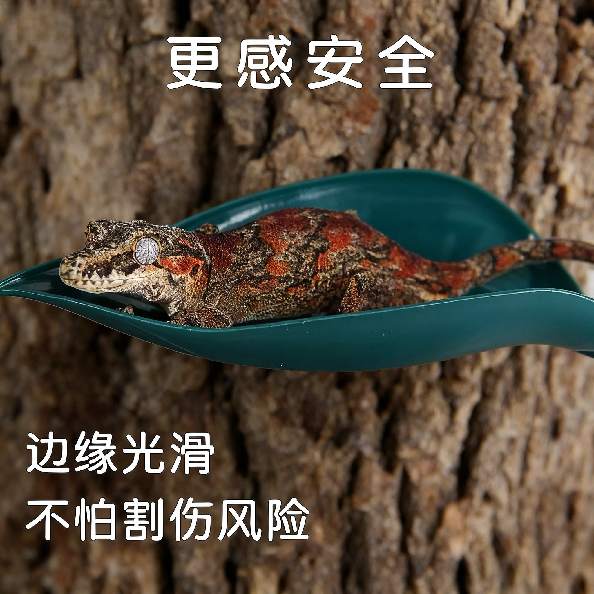 爬宠悬浮躲避窝 睫角守宫姥爷树蛙专用 雨林造景吸盘攀爬仿真植物,淘宝优惠券,粉丝福利购,淘宝优惠卷