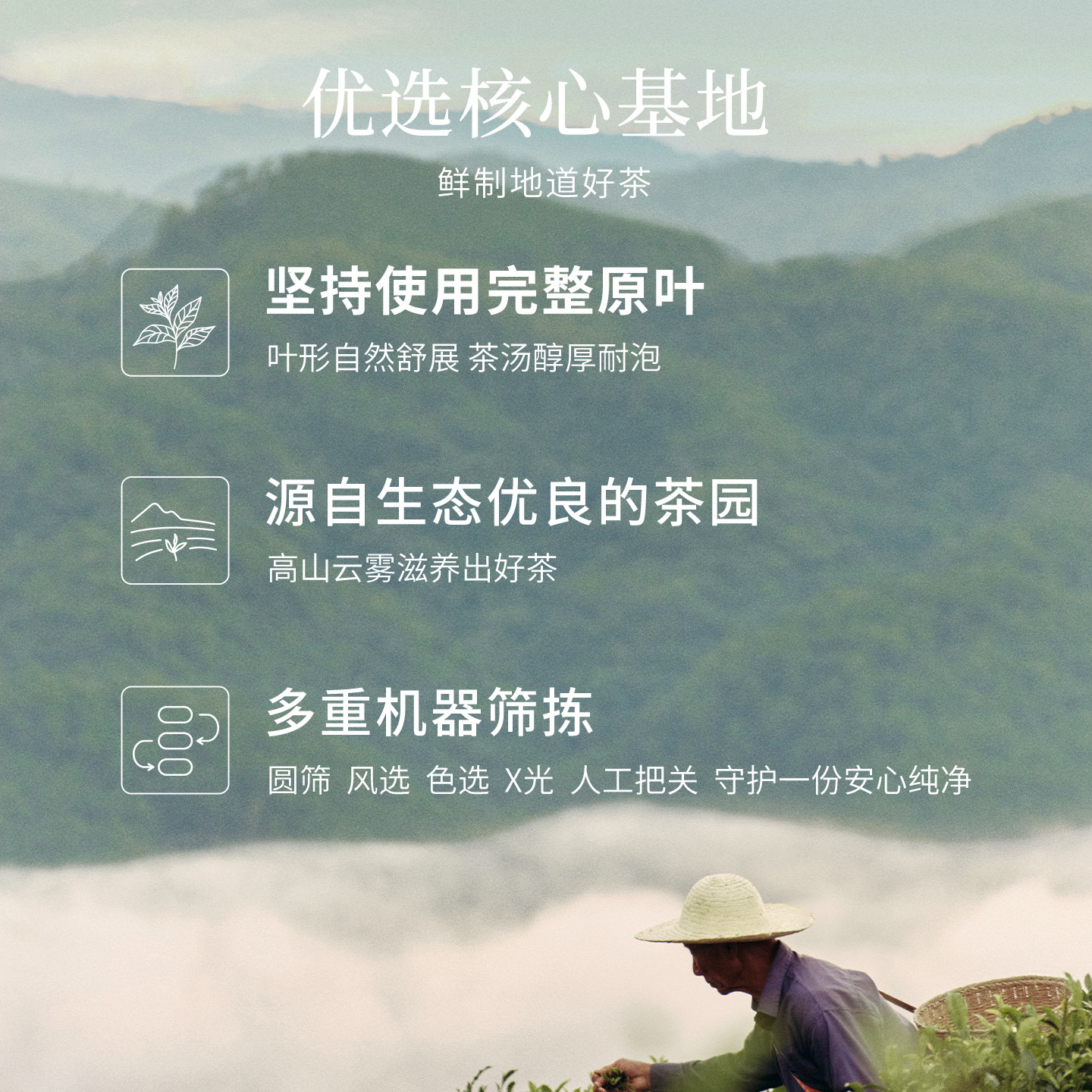 霸王茶姬「原叶袋泡茶」茶包茶袋冲泡伴手礼红茶乌龙绿茶龙井普洱