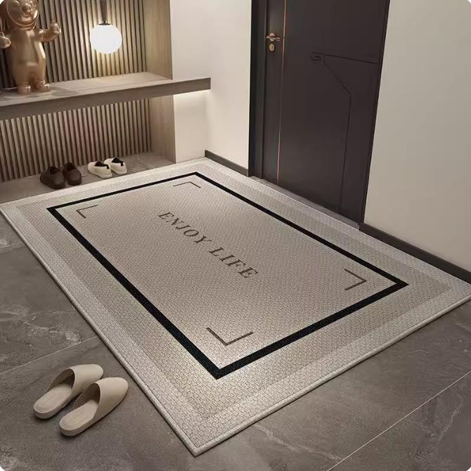 入户门地垫入户门垫门口进门脚垫地毯2024新款家用大门垫子高级感 - 图2
