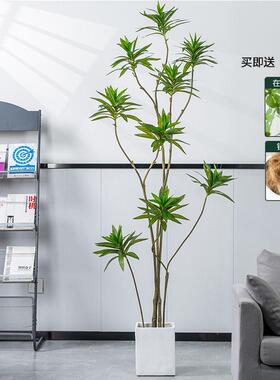 仿真百合竹高档绿植室内客厅大型盆栽假植物大型造景绿植仿生装饰