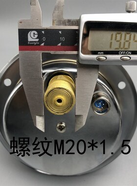 天湖YNXC100ZT耐震轴向带边电接点压力表 抗震防震0-25 40MPA