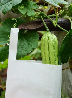 苦瓜丝瓜防虫套袋 白色瓜果蔬菜防水纸袋 农业保护套装园艺枝剪搭