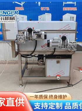 粽叶清洗机芦苇叶双层毛刷清洗连续式喷淋琵琶叶毛辊清洗机