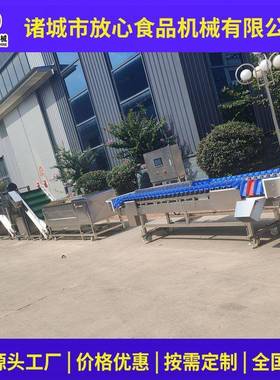 天麻清洗分级设备蒸煮分选烘干流水线天麻清洗蒸煮烘干设备