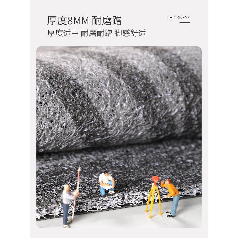 入户门垫进门地垫可裁剪大门口丝圈脚垫家用门外防滑垫子玄关地毯,淘宝优惠券,粉丝福利购,淘宝优惠卷