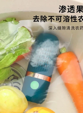 无线果蔬家电清洗净化器家用