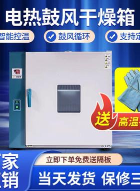 智能控温电热鼓风干燥箱恒温烘箱烤箱实验工业商用烤箱老化箱