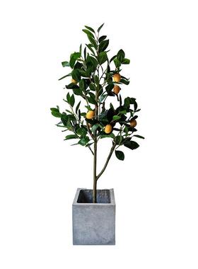 仿真柠檬树盆栽仿真绿植橘子树客厅装饰落地摆件仿真植物