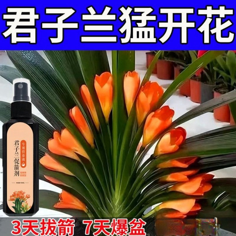 君子兰营养液专用肥急救叶子发黄烂叶烂根促箭剂催花免稀释液体肥,淘宝优惠券,粉丝福利购,淘宝优惠卷