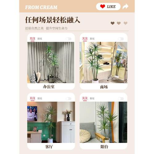 大型玄关电视柜落地摆件龙舌兰轻奢绿植仿真植物盆栽客厅装饰摆件 - 图2