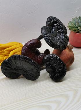 灵芝 整枝 装饰摆饰 清供 禅意 灵芝 紫灵芝 上供