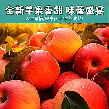 苹果干苹果片烘干适合女生泡水喝的水果茶[7元优惠券]-寻折猪