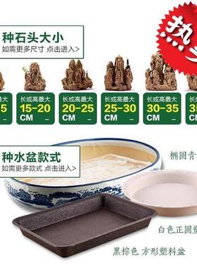 室内家用吸水石石头托盘流水假山盆景假石山植物造景水上小石摆件