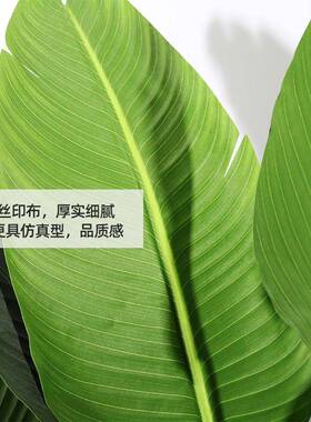 仿真绿植旅人蕉假植内物仿生栽室盆装摆饰001件假树造景真
