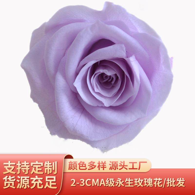 2-3cmA级永生花保鲜玫瑰花创意七夕情人节生日礼品礼物配材,淘宝优惠券,粉丝福利购,淘宝优惠卷
