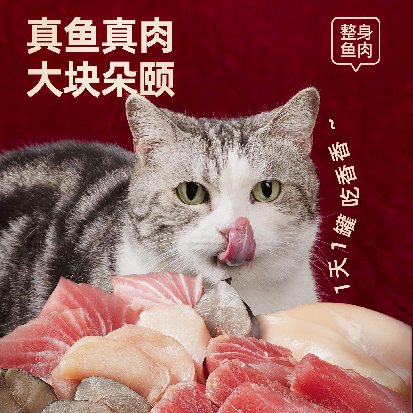 佳乐滋银勺猫罐头成猫零食金枪鱼鸡肉湿粮冻汤罐尝鲜6罐营养解馋,淘宝优惠券,粉丝福利购,淘宝优惠卷