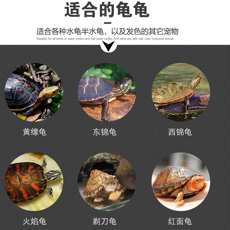 乌龟饲料火焰龟发色粮黄缘龟东锦西锦龟专用增色龟粮小乌龟开口粮 - 图3