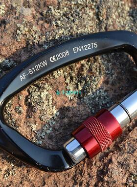 极速25KN Professional Carabiner D Shape Safety Master Lock O