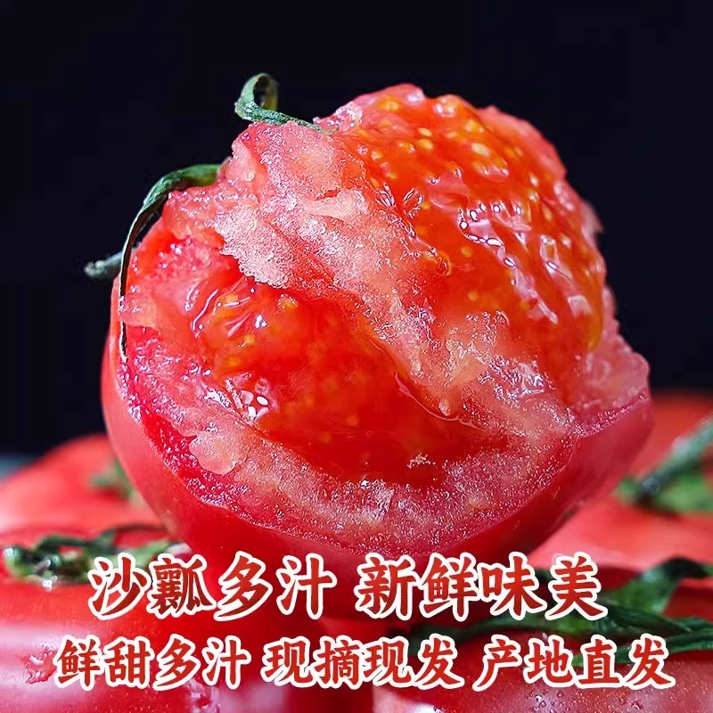 沙瓤西红柿5斤自然熟柿子蔬菜生吃水果番茄普罗旺斯当季现摘整箱3