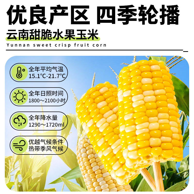 即食玉米水果甜玉米段真空包装免煮开袋即食早餐嫩玉米代餐上班族,淘宝优惠券,粉丝福利购,淘宝优惠卷