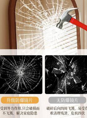 法式全身镜落地镜可移动实木底座穿衣镜女生卧室试衣镜拱形全身镜