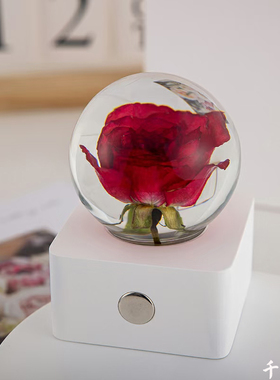 黑种草郁金香蒲公英水晶球小夜灯创意卧室树脂摆件送男女朋友礼物