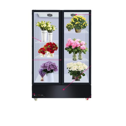 鲜花柜冷藏柜风冷无霜保鲜柜花店专用大容量展示柜商用单双三门 - 图3