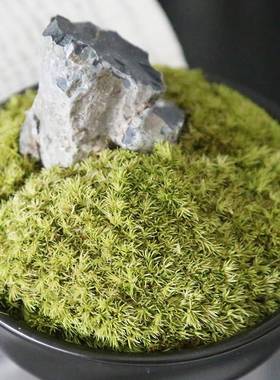 新中式禅意苔藓折纸书组合摆件样板间茶室茶几边几桌面软装饰品