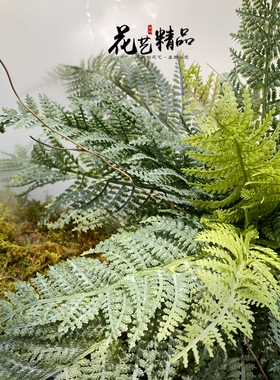 铁线蕨波斯草排草植物墙配材插花装饰山草仿真草波士顿蕨羊齿蕨草