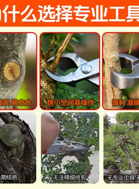 园艺专用盆景工具球节剪修枝剪叶芽剪叉枝剪刀盆景专用工具园艺剪